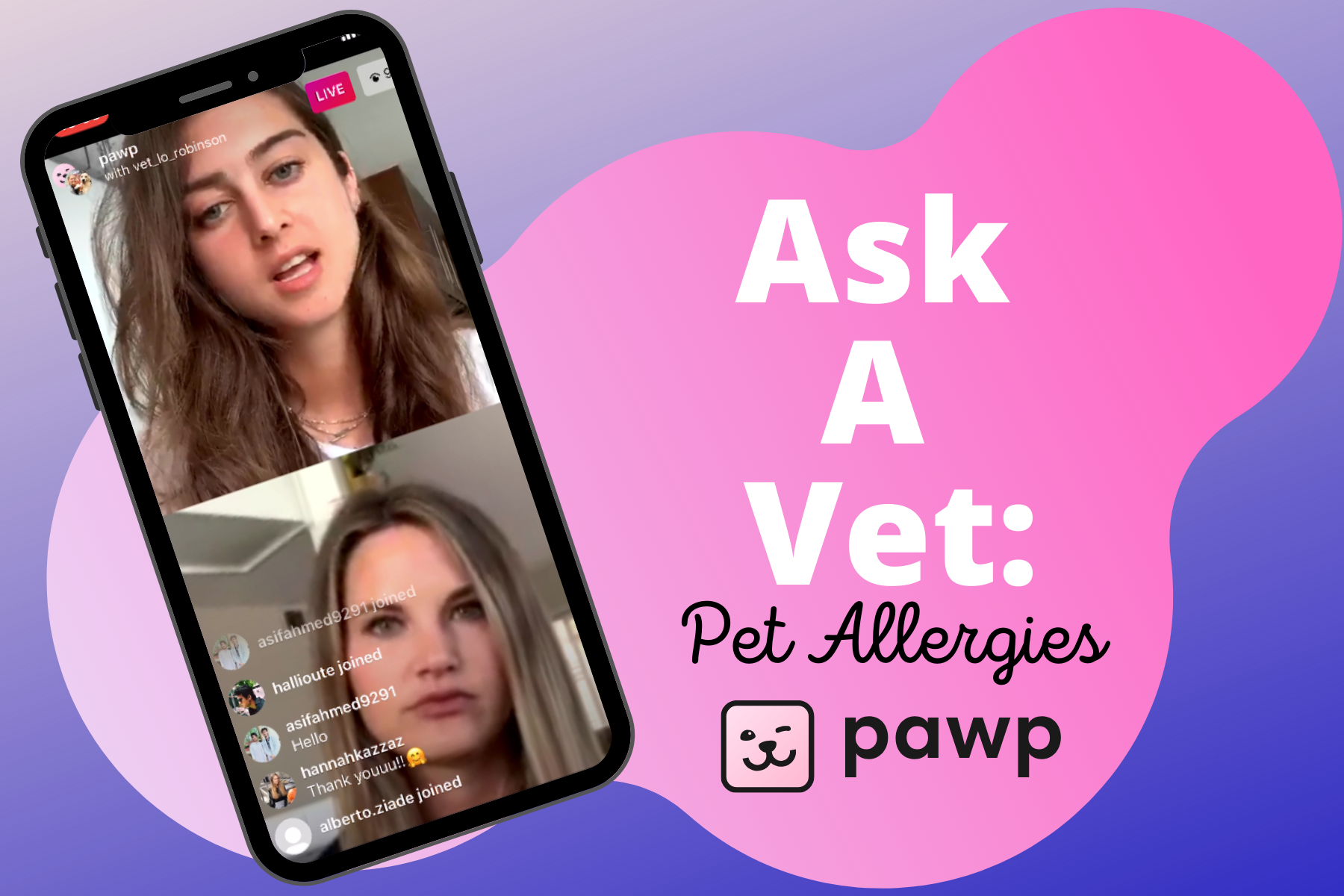 We Asked A Vet Everything About Pet Allergies, Symptoms & Treatments