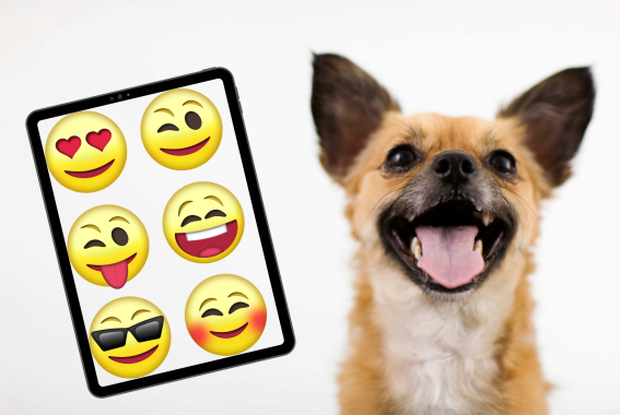 Quiz: Can You Guess The Dog Breeds Using Only Emojis?
