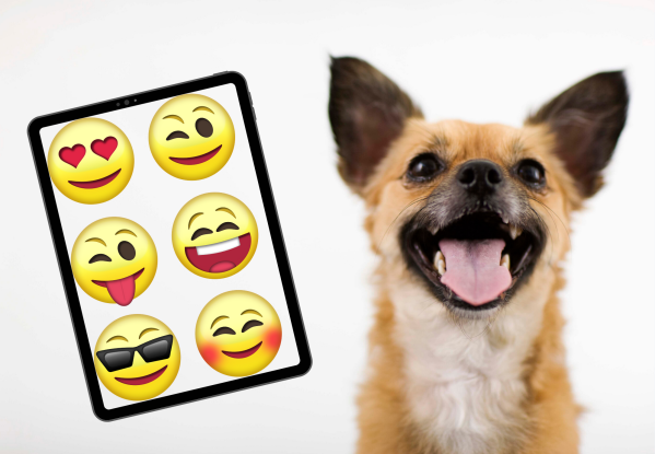 Quiz: Can You Guess The Dog Breeds Using Only Emojis?