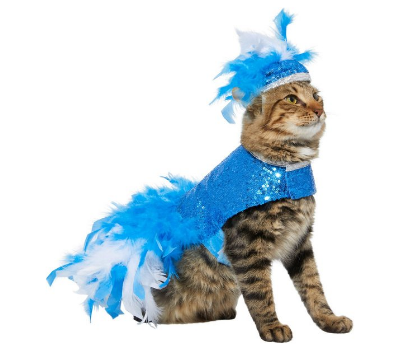 showgirl cat halloween costume