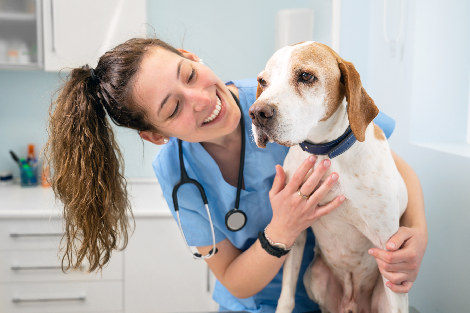 Celebrating World Veterinary Day