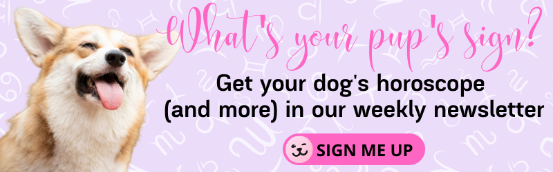 What's your pup's sign (2)