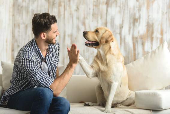 Pet Parents Are Healthier, Less Stressed, And Better Looking