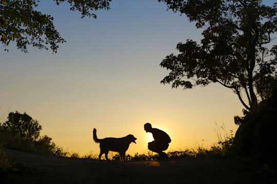 The 14 Healthiest Dog Breeds