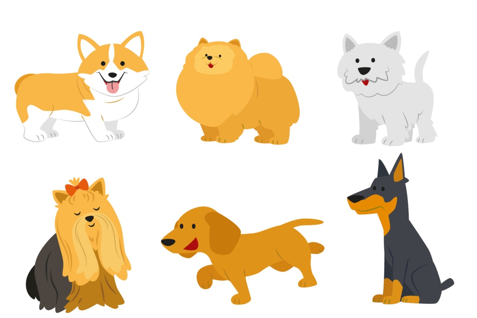 7 Dog Breeds That Are Perfect For City Life