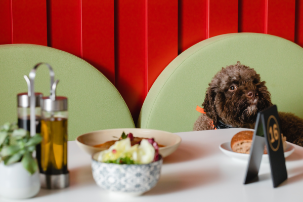 11 Dog-Friendly Restaurants In Houston