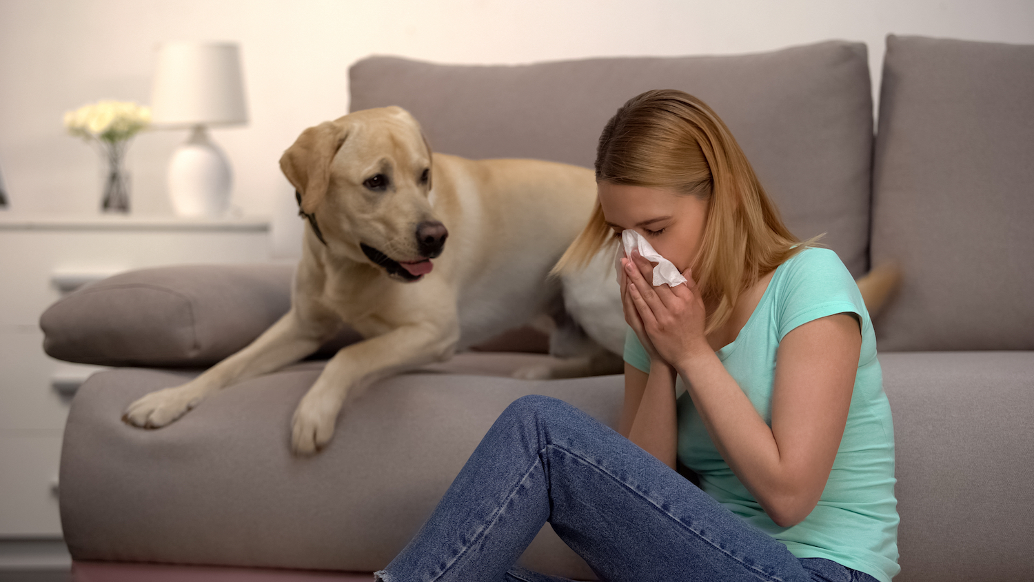 Are Hypoallergenic Dogs Real? How To Choose The Right Pet For Your Allergies