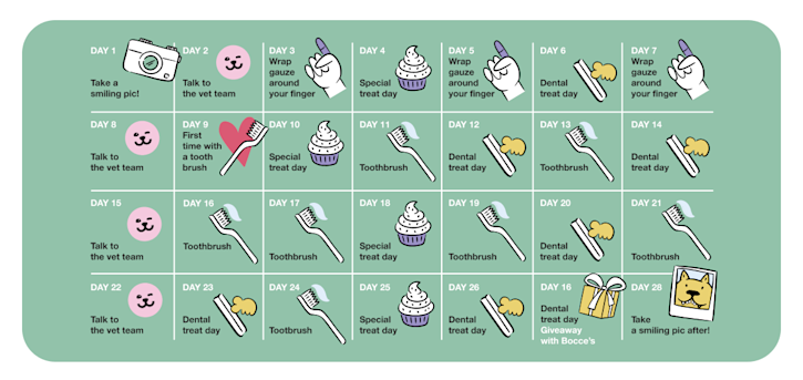 dental-challenge-blog-2