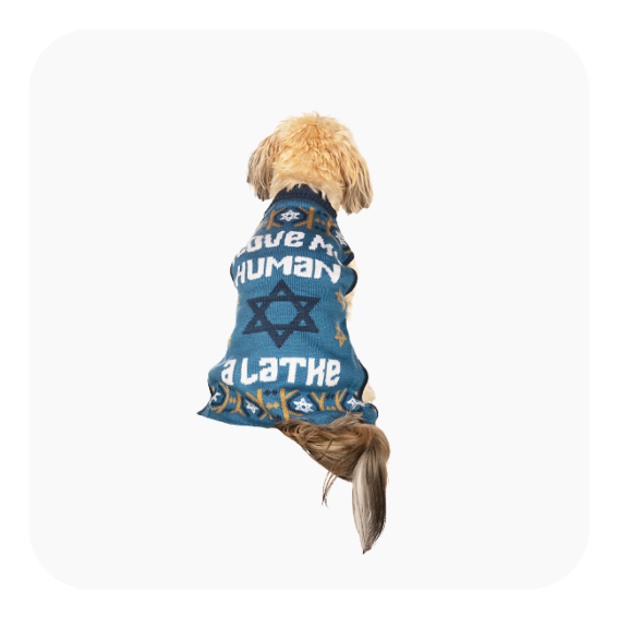 a-latke-dog-sweater