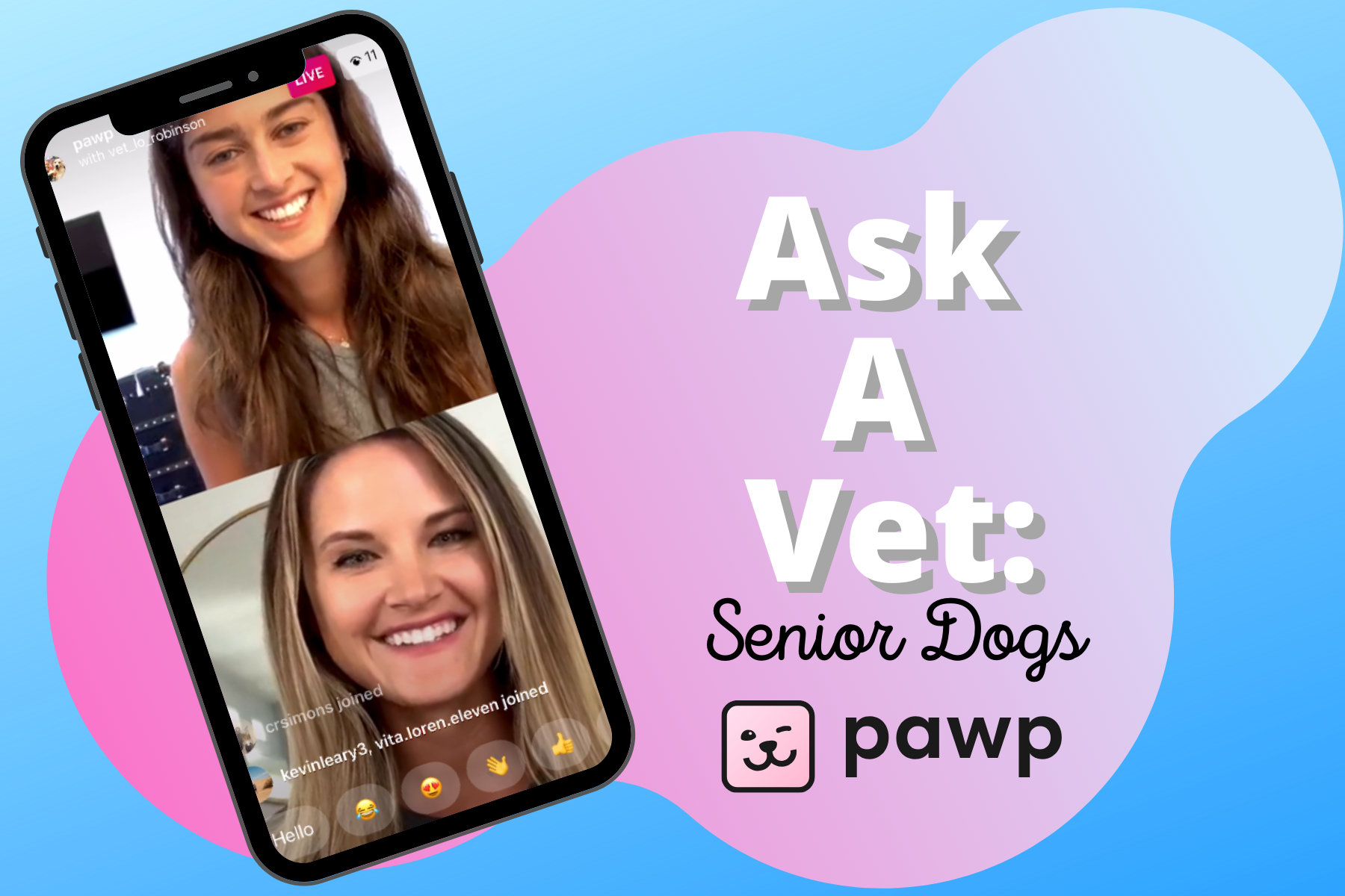 We Asked A Vet About Pet Insurance & How To Care For Senior Dogs