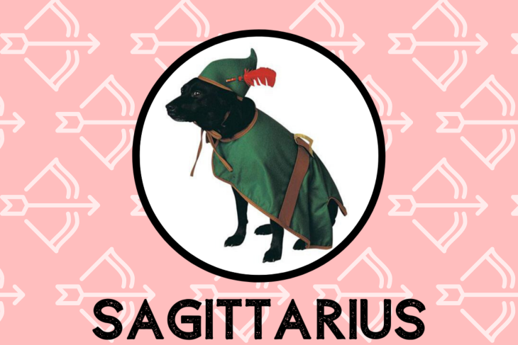 Sagittarius Dog Personality: What Being A Sagittarius Says About Your Dog