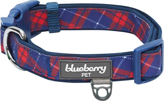 best-dog-collars-blueberry-pet