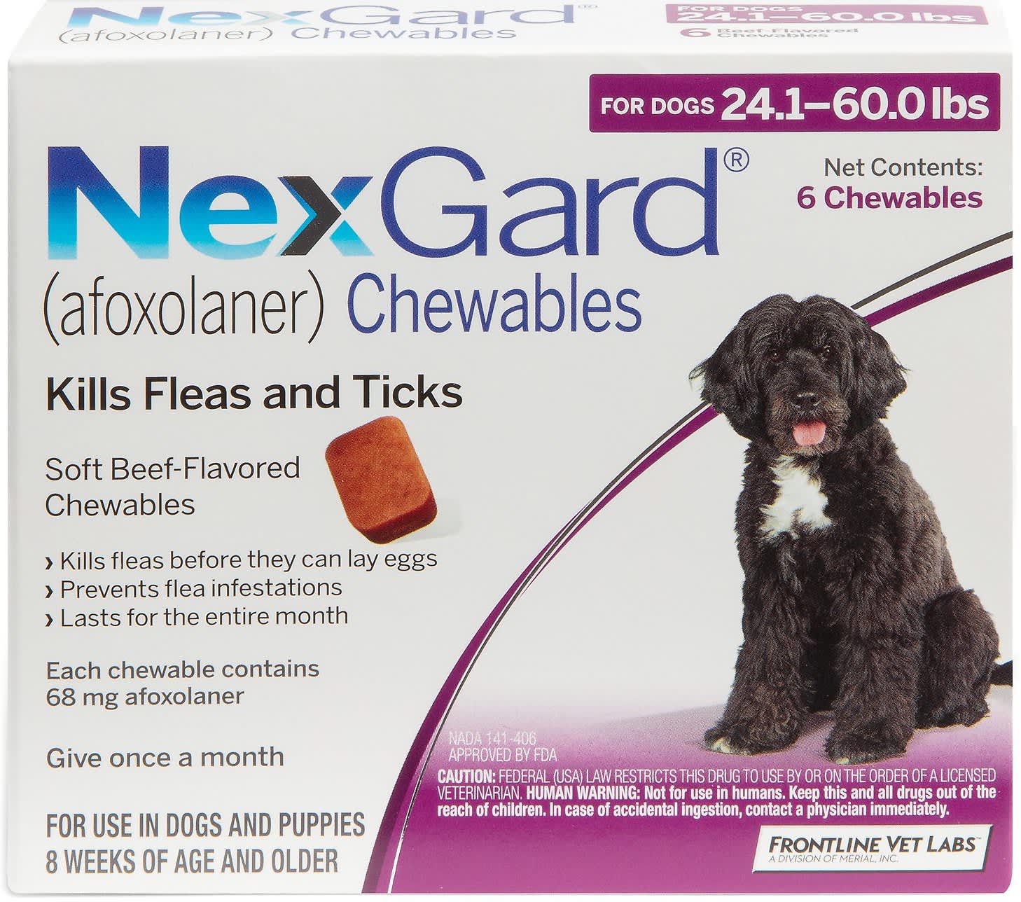 The Best Dog Flea & Tick Medications Of 2021