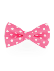 rover-boutique-polkadot-bow-tie