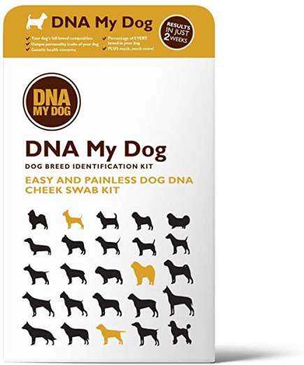 dna my dog - pawp