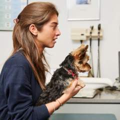 7 Things Your Vet Would Really Like To Tell You