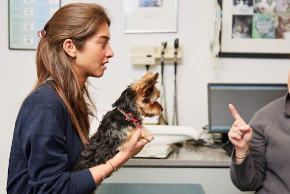 7 Things Your Vet Would Really Like To Tell You