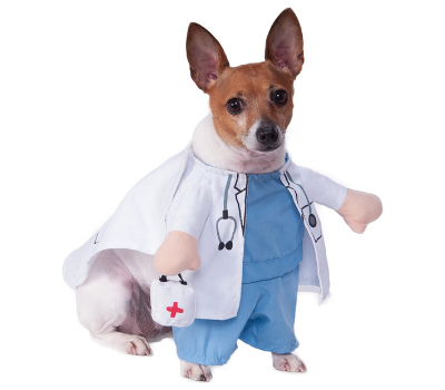 walking vet halloween dog costume