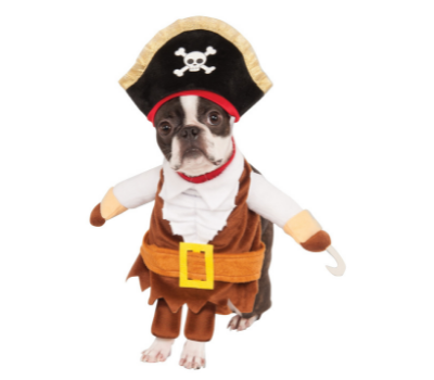 dog pirate halloween costume
