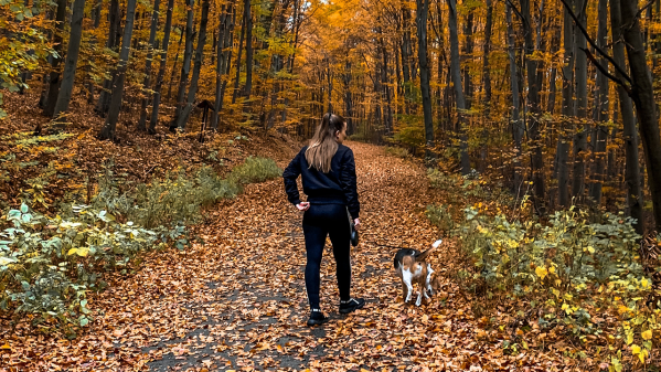 The Ultimate Guide To Walking Your Dog