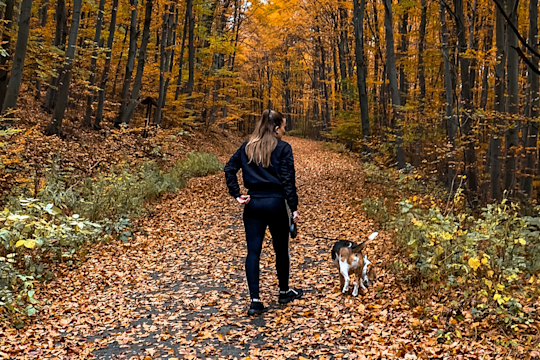 The Ultimate Guide To Walking Your Dog