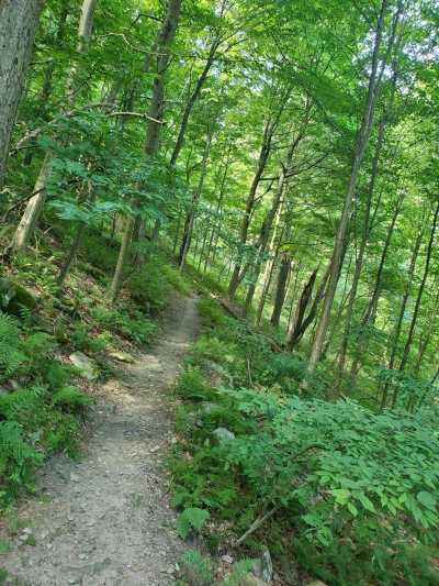 Trails | Ohiopyle State Park