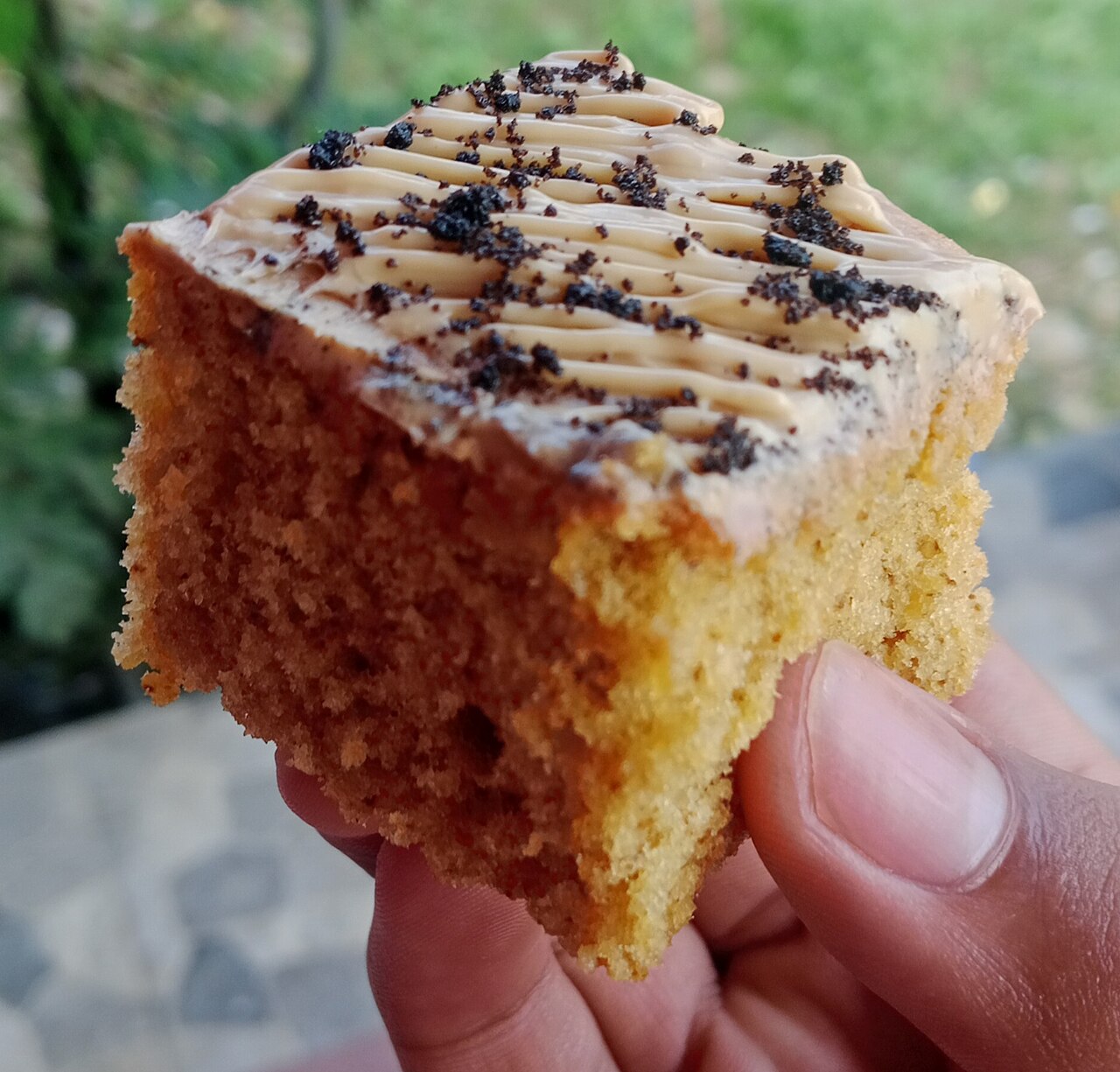 Nakrojený řez tiramisu zviditelňuje stavbu dezertu: kávou nasáklé piškoty, mascarponový krém a kakao v měkkých vrstvách. Kredit: Fitrah 9131, Wikimedia Commons, CC BY 3.0