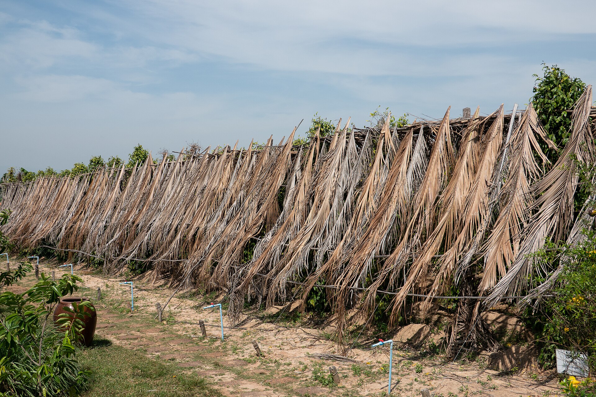Kampotské nábřeží obrací město pomalým tempem k pobřeží. Kredit: PsamatheM, Wikimedia Commons, CC BY-SA 4.0