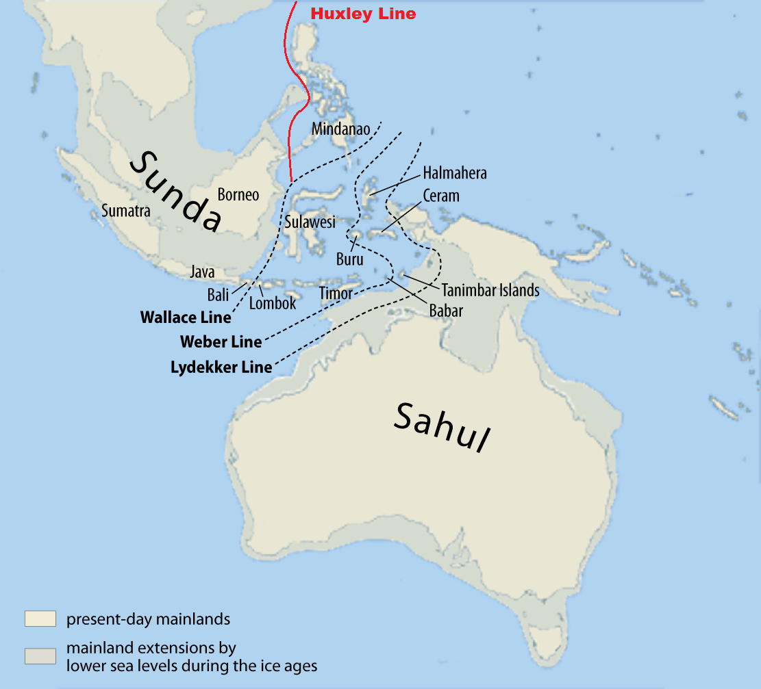 DNA sleduje první trasy k Austrálii přes ostrovní jihovýchodní Asii