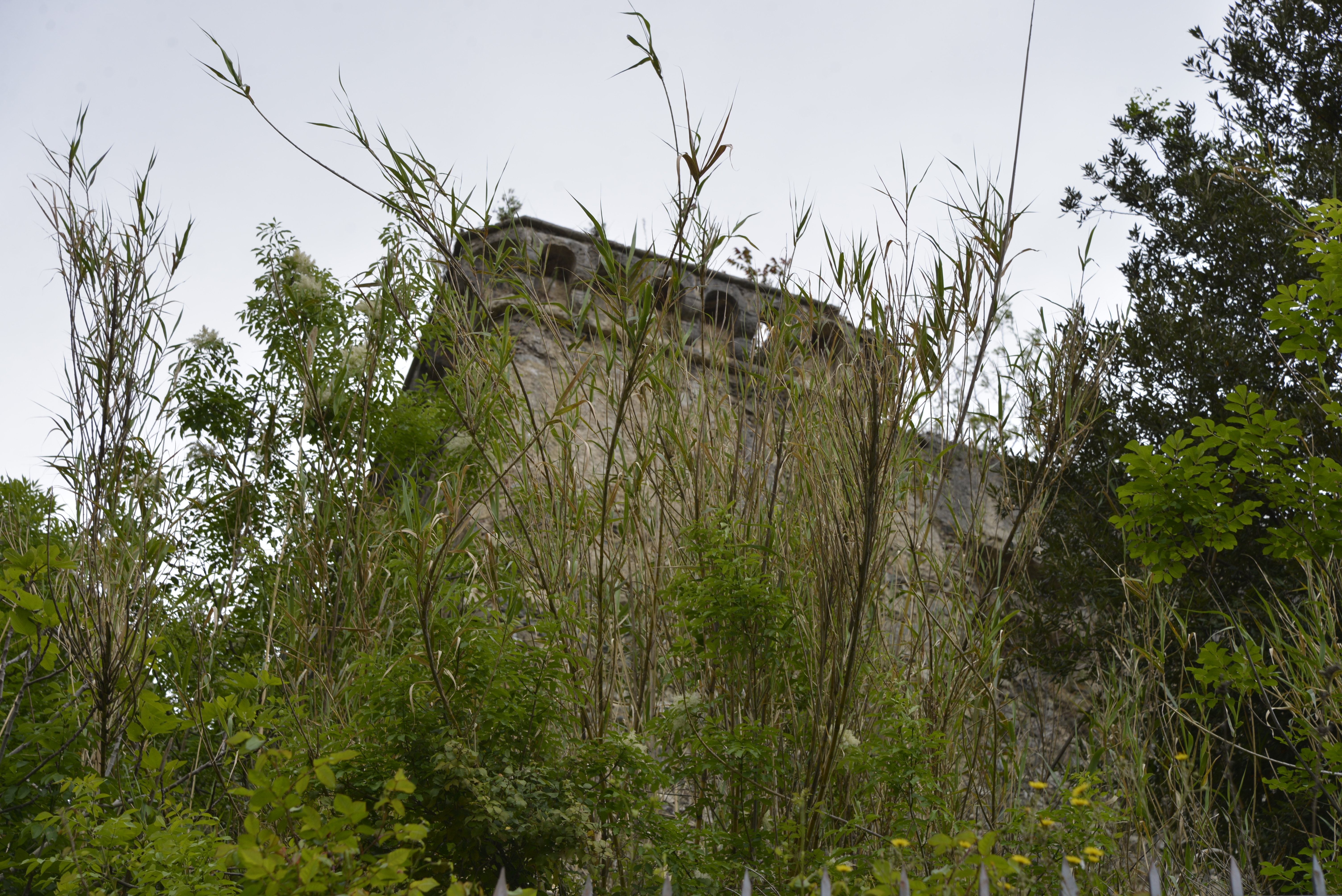 Normansko-švábský hrad v Nicastru nad Lamezií Terme — Pozůstatky hradu ukazují starší město ve svahu uvnitř místa, které mnoho návštěvníků zná nejdřív jen podle letiště. Kredit: Yiyi, Wikimedia Commons, CC BY-SA 4.0