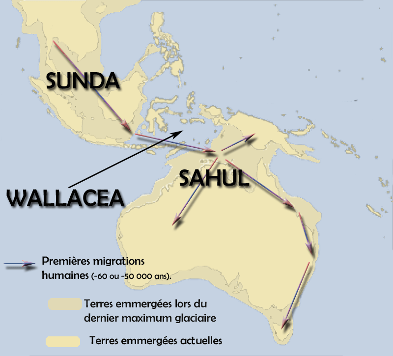 Map of Sunda, Wallacea and Sahul, the island-and-sea geography crossed by early modern humans. Credit: Christophe cagé / Altaileopard, Wikimedia Commons, CC BY-SA 3.0