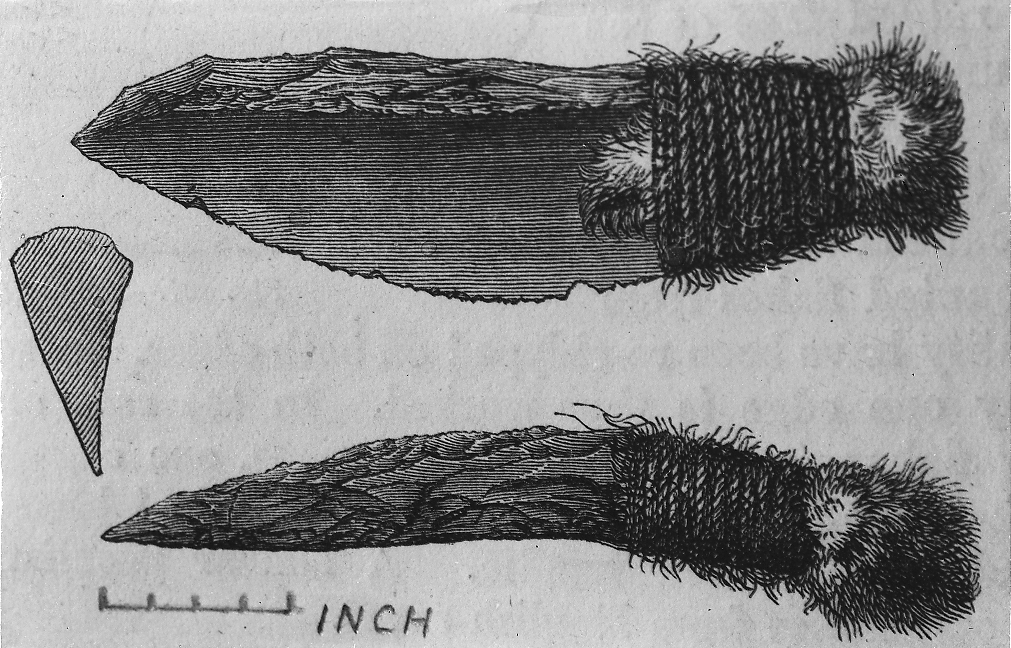 An Australian Aboriginal stone knife from the Wellcome Collection illustrates the kind of durable cutting technology that made high-quality stone sources valuable, though it is not an artefact from Sugarloaf Hill. Credit: Wellcome Collection / Wikimedia Commons, CC BY 4.0