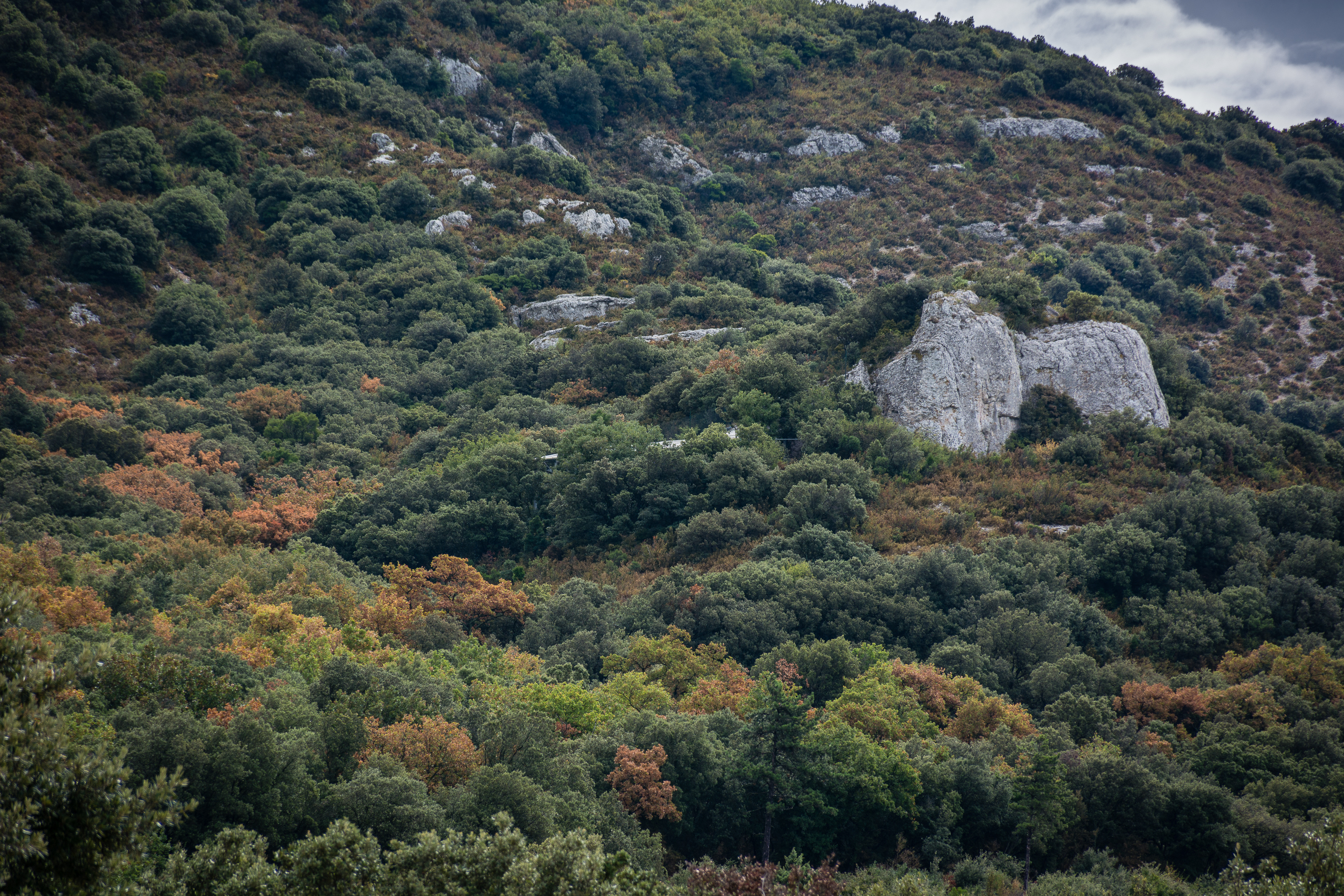 The limestone landscape around Grotte Mandrin — caves in such settings can preserve repeated occupations and the fine stratigraphy needed to connect bones, tools and dates. Credit: Thilo Parg, Wikimedia Commons, CC BY-SA 4.0