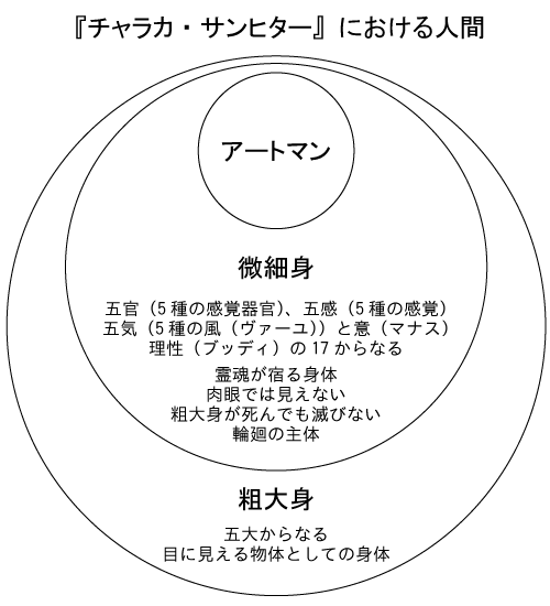 Diagram vycházející z tradice Charaka Samhity ukazuje, jak se textová medicína snažila uspořádat tělo do učitelného poznání. Kredit: やまさきなつこ, Wikimedia Commons, CC BY-SA 4.0