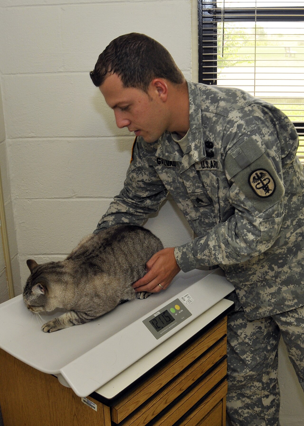 Scientists say house cats could help unlock new cancer treatments for humans