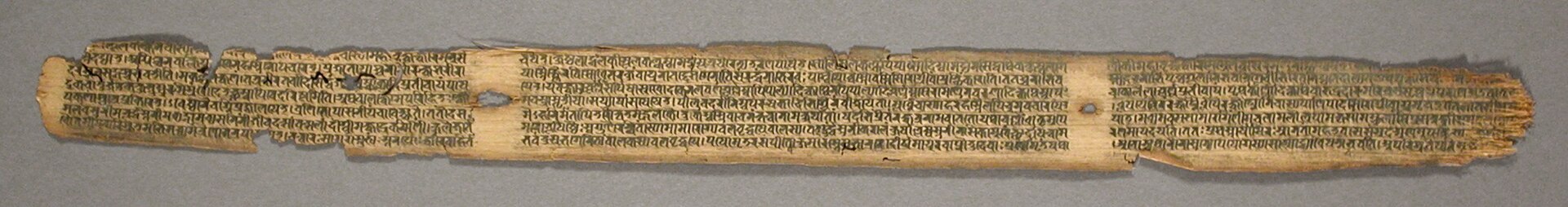 Ayurveda, part 3: texts, trade and the long history of Indian medical knowledge