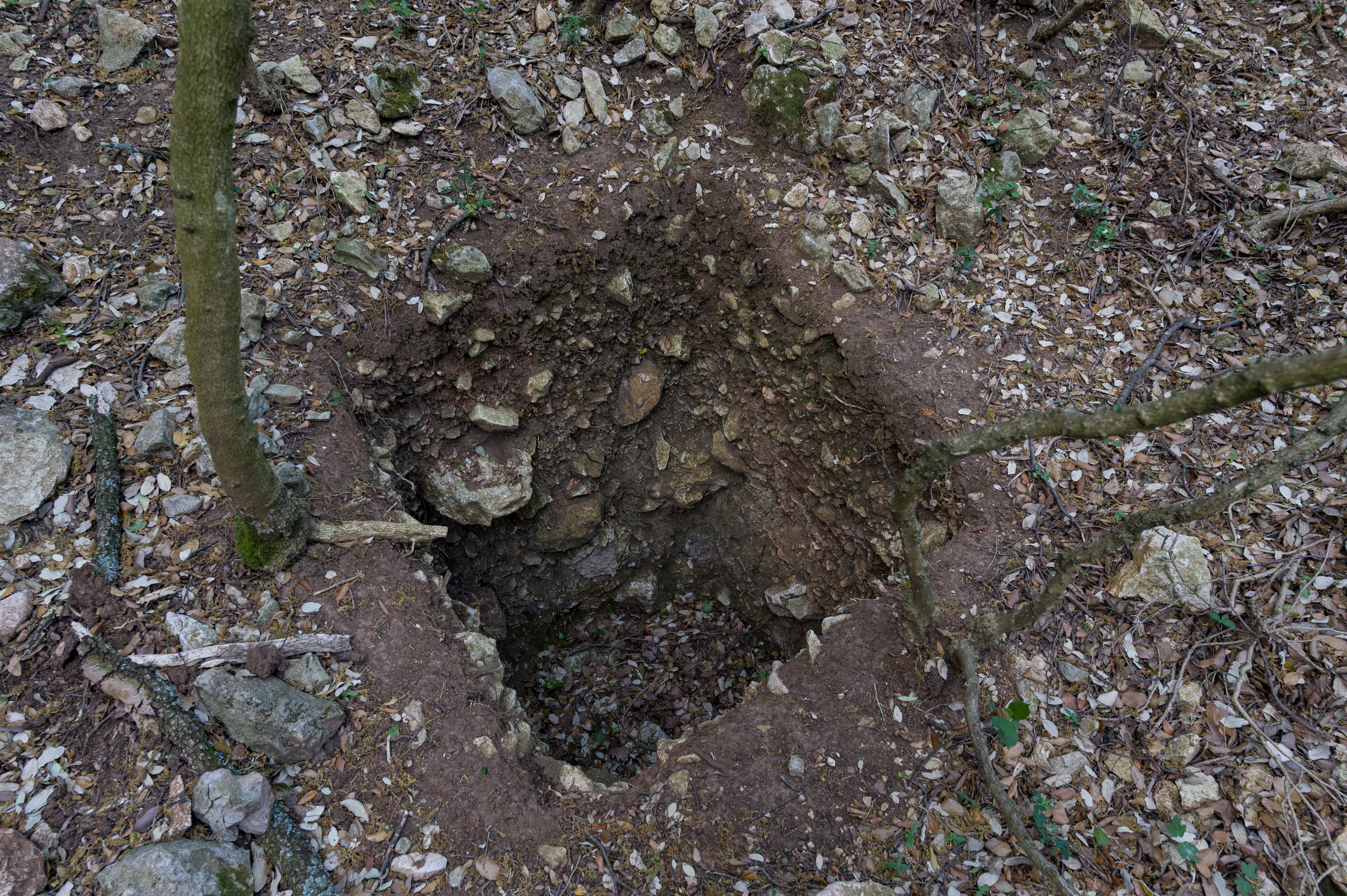 Grotte Mandrin in southern France — the cave sequence is the place-specific archive behind the Thorin genome. Credit: Thilo Parg, Wikimedia Commons, CC BY-SA 4.0
