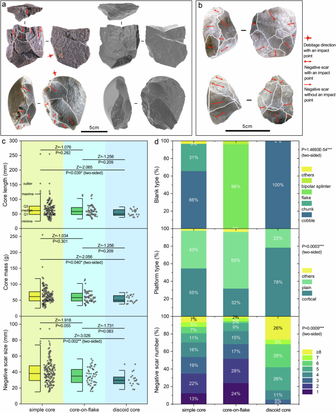 Retouched tools and small-flake forms from Xigou — the figure illustrates the repeated choices behind scrapers, borers, notches, denticulates and points. Credit: Li et al., Nature Communications, CC BY 4.0