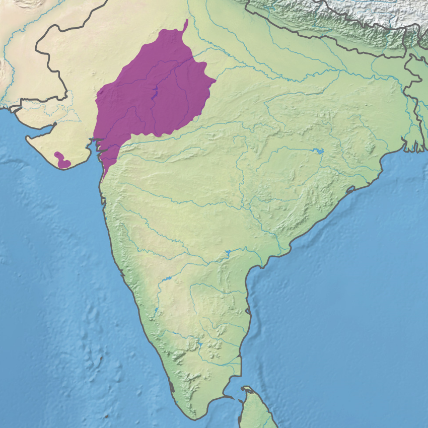 Mapa ekoregionu suchých lesů dává geografický kontext indickým otevřeným a sezonním lesním krajinám. Kredit: Terrestrial Ecoregions of the World / WWF data via Wikimedia Commons, CC BY-SA 3.0