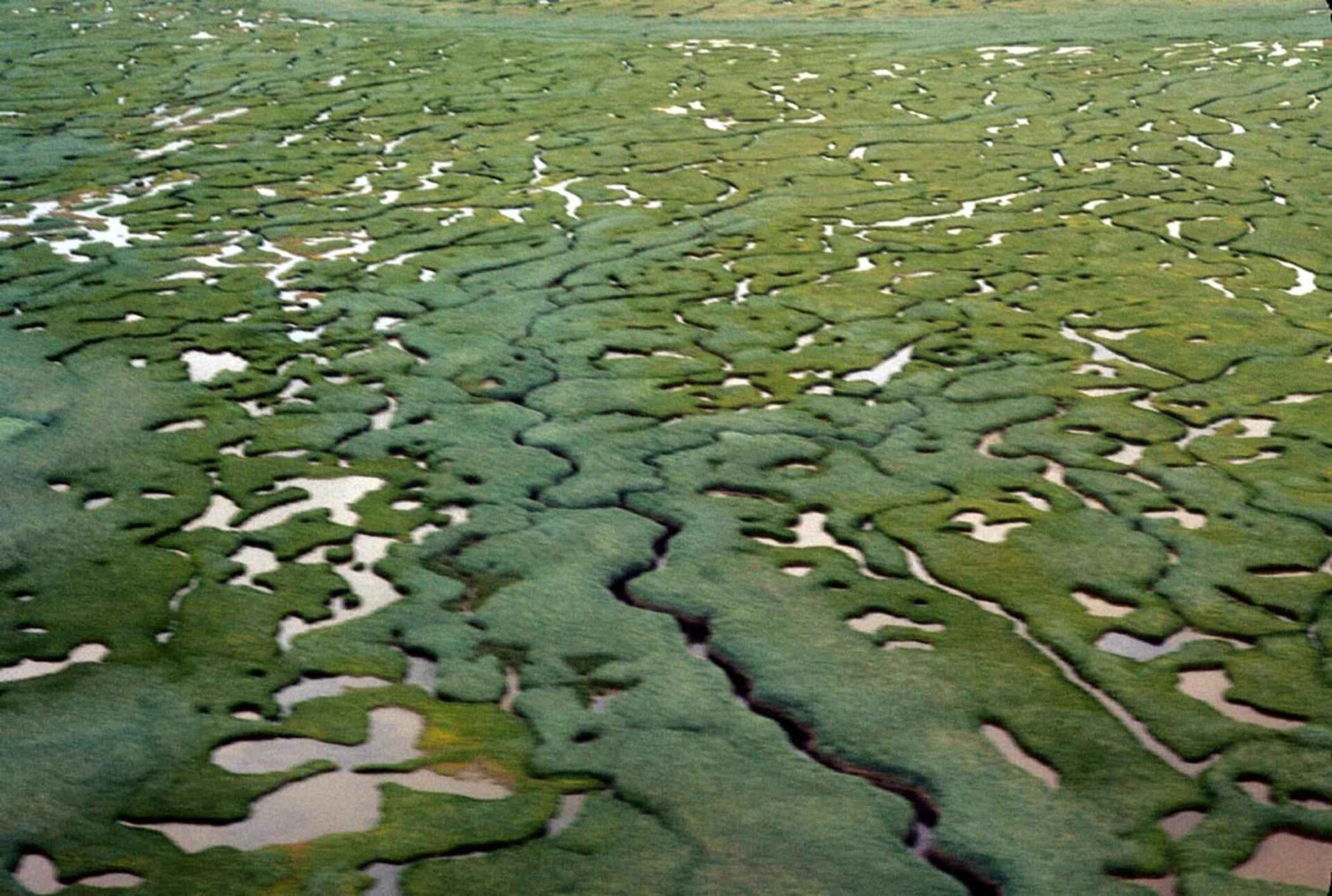 Delta Okavanga: řeka, která se rozlévá do Kalahari