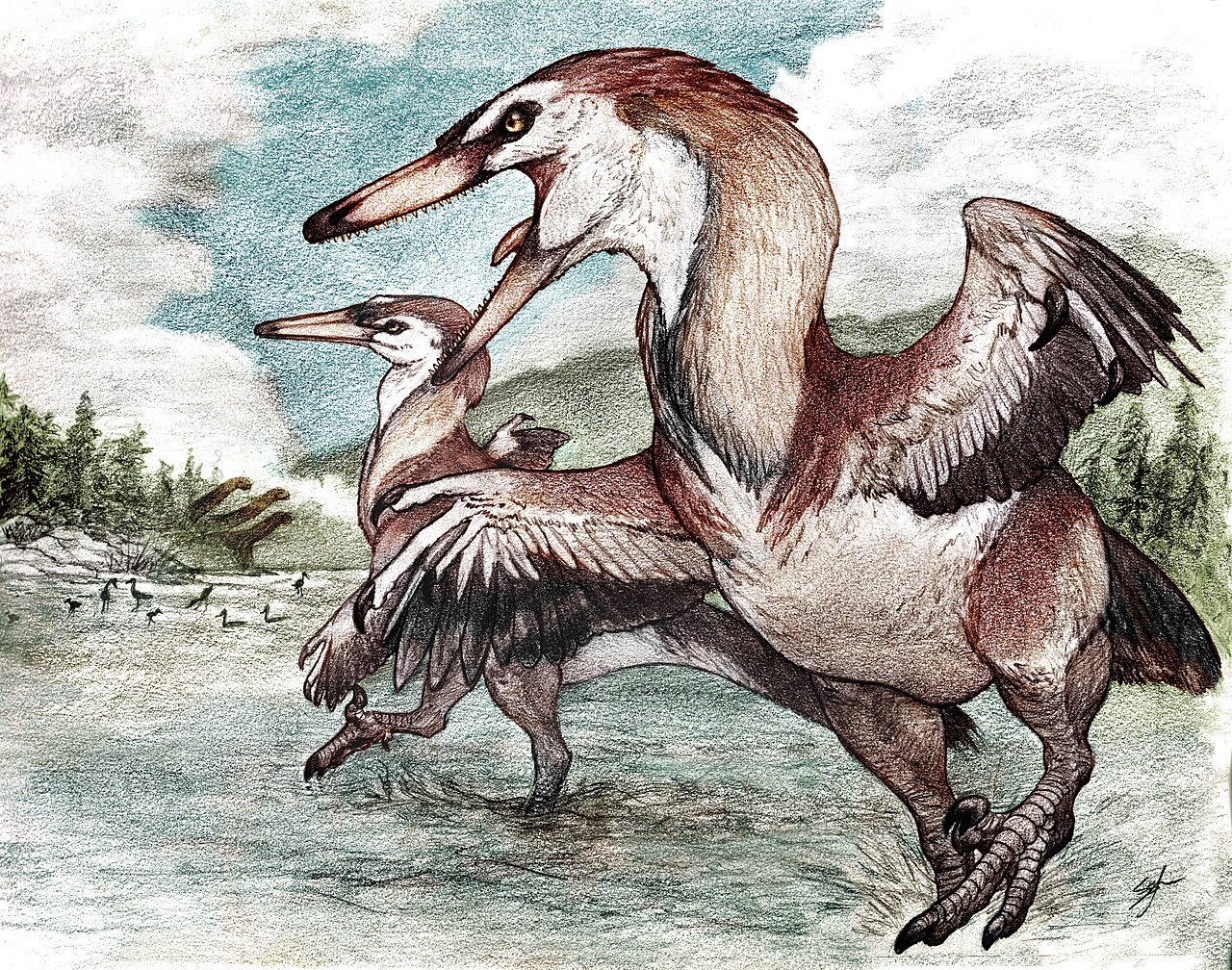 This Newly Described Raptor Hints at a Heron-Like Hunter in Cretaceous Patagonia