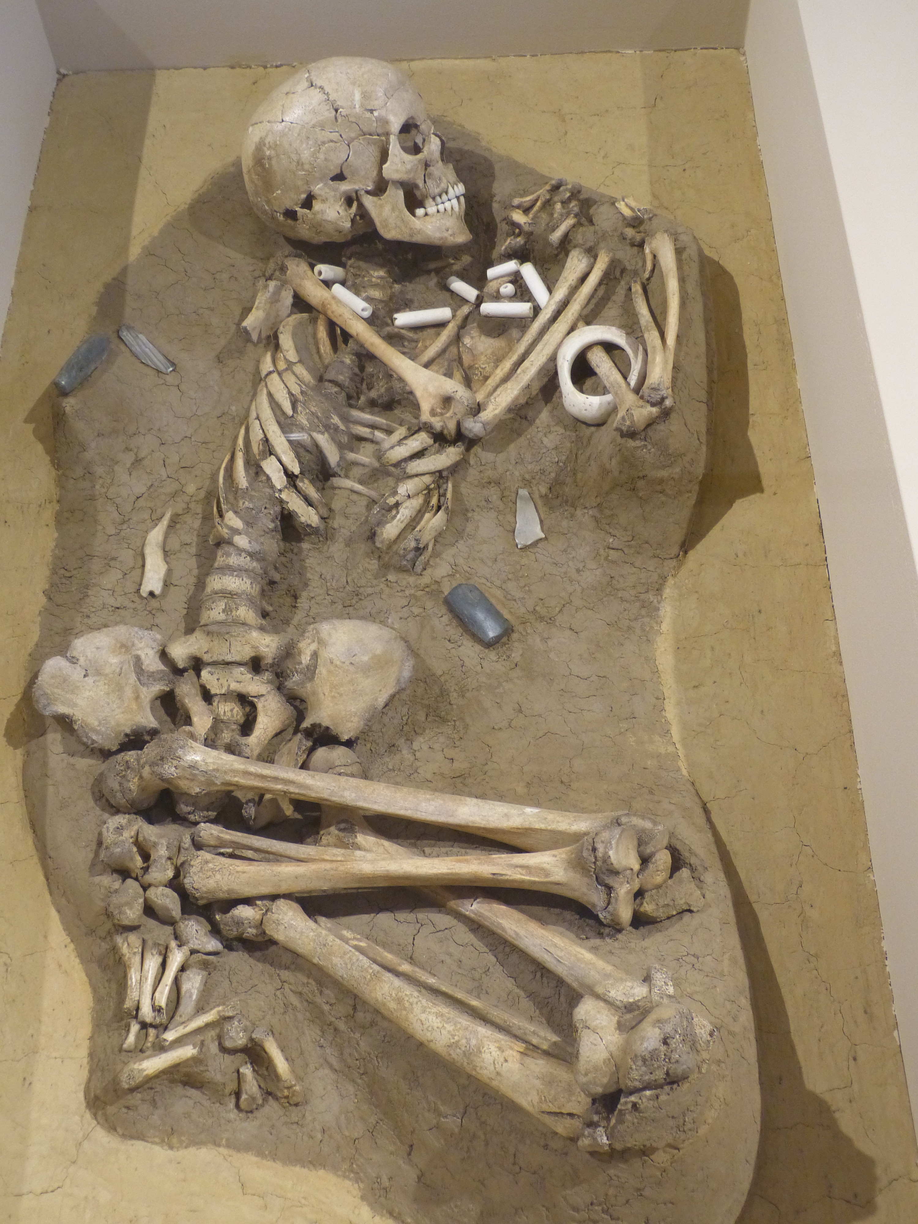 Pohřeb kultury s lineární keramikou — hroby raných zemědělců poskytují archeologický kontext, v němž lze společně studovat DNA, příbuzenství a mobilitu. Kredit: Wolfgang Sauber, Wikimedia Commons, CC BY-SA 3.0