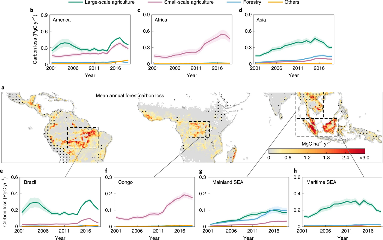 Mountainous landscapes store far more carbon than previously thought, new research shows