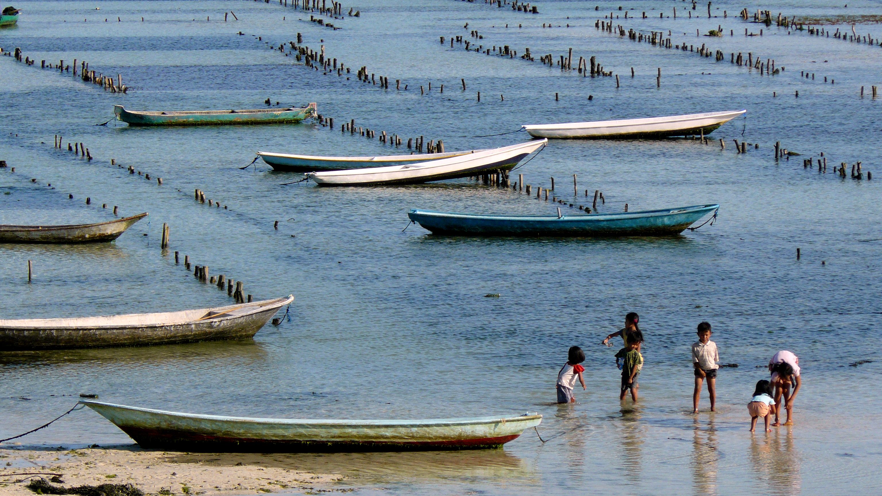 Pěstování mořských řas na Nusa Lembongan — Pěstování mořských řas na Nusa Lembongan ukazuje ostrovy jako pracovní mořskou krajinu, ne jen modrou vyhlídku. Kredit: yeowatzup, Wikimedia Commons, CC BY 2.0