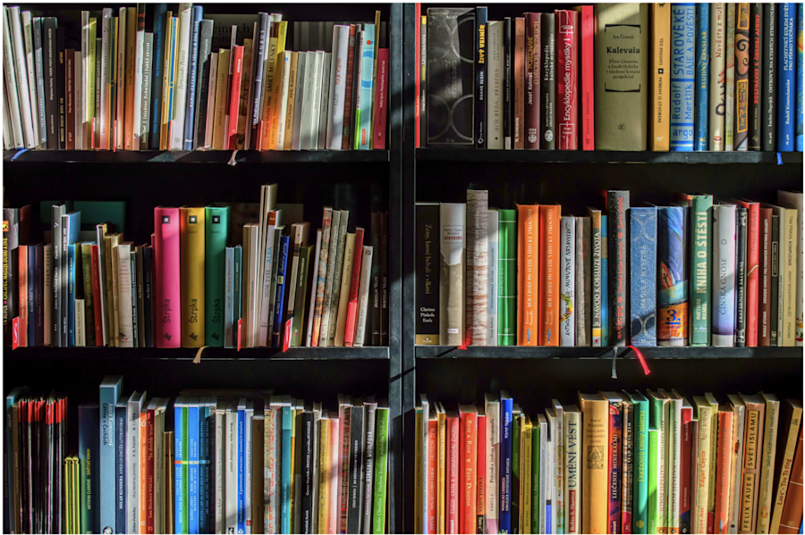 Books on bookshelves
