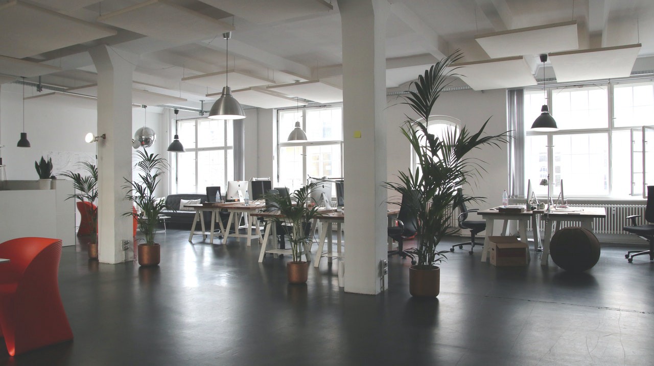 Modern office space with lights and plants. 