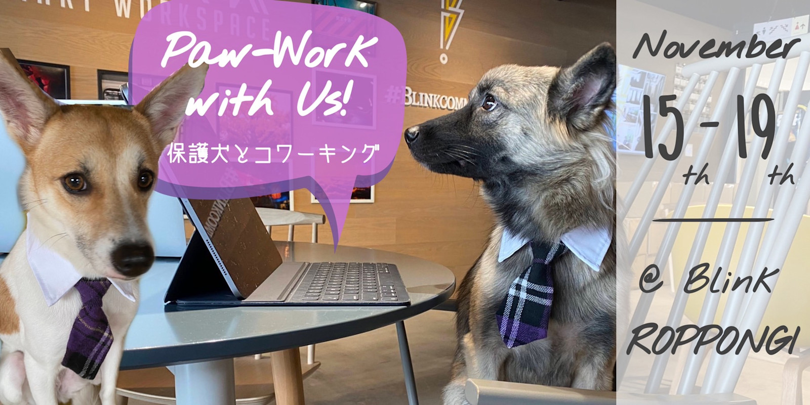 【お知らせ】11/15〜19@六本木Blinkにて「保護犬とコー”ワン”キング Event」を行います