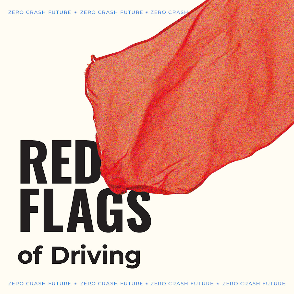 The 7 Red Flags of Driving DoSomething The 7 Red Flags of Driving DoSomething
