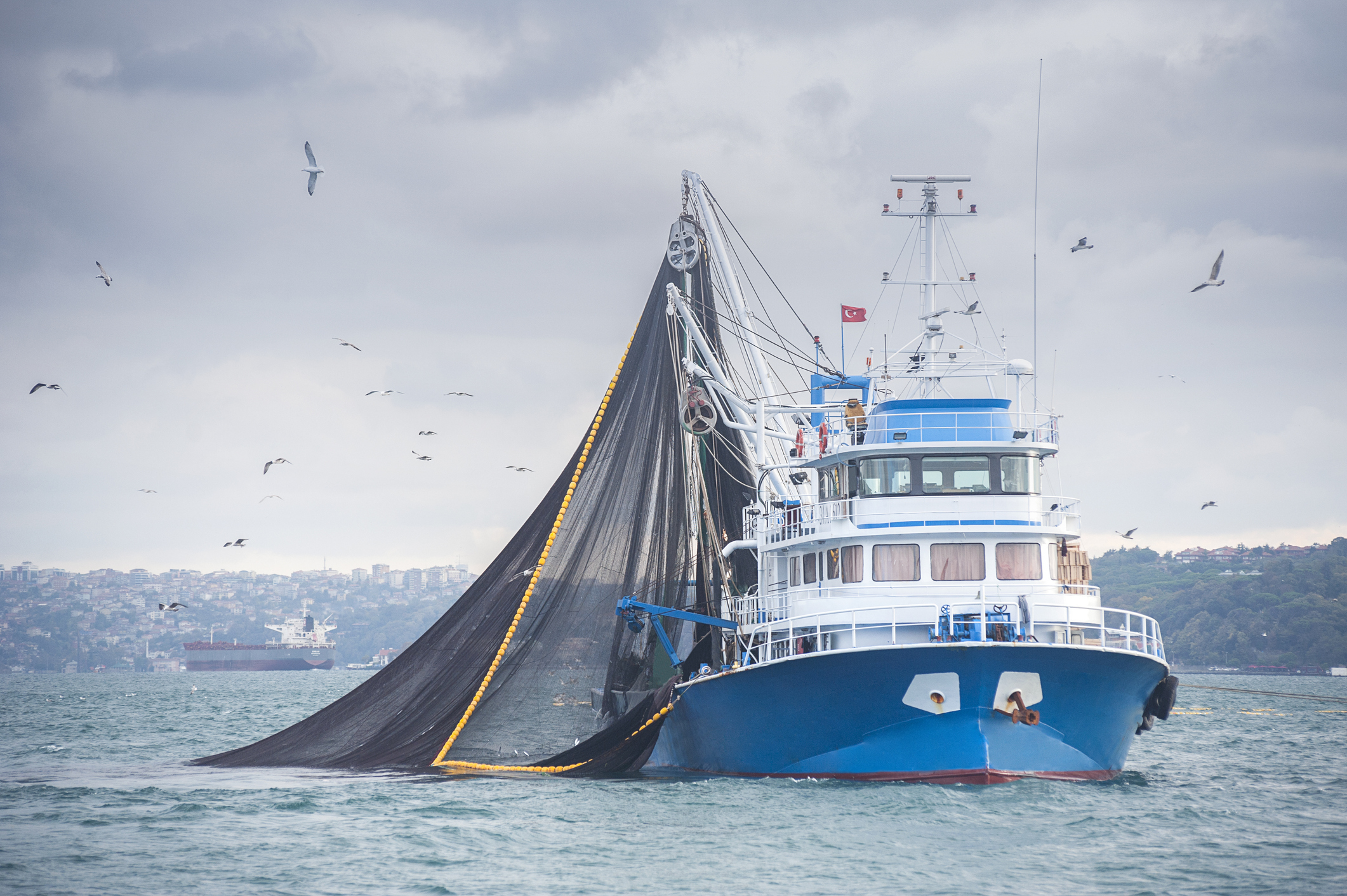 Marine Insurance – From Ship Yard Repair Shops to Excursion and Fishing Vessels
