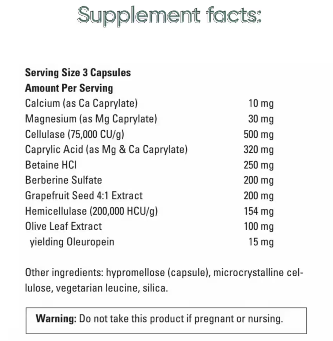 Probiotic Multi Enzyme